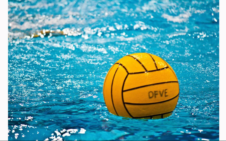 DFVE - Felkészülési edzőmérkőzések 2016.