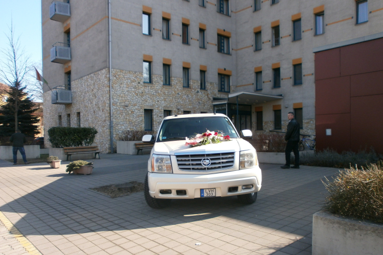 Esküvő Kiállítás a Campusban