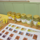 Szakmák éjszakája