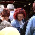 Támogatói aláírás gyűjtése