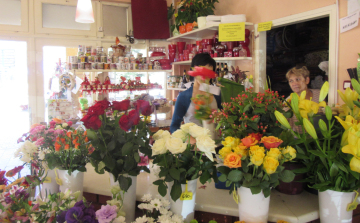 Fleron, ami a virágról szól