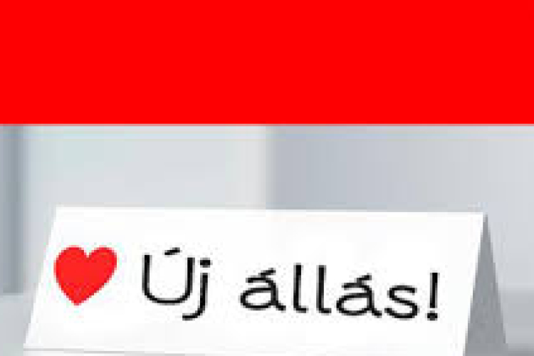 Álláshelyek Dunaújvárosban