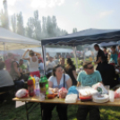 Parázs-varázs képekben