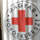 Az újraélesztés Guinness rekordkísérlete