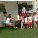 VI. Dunaújvárosi Sportválasztó és IV. Hangszerválasztó