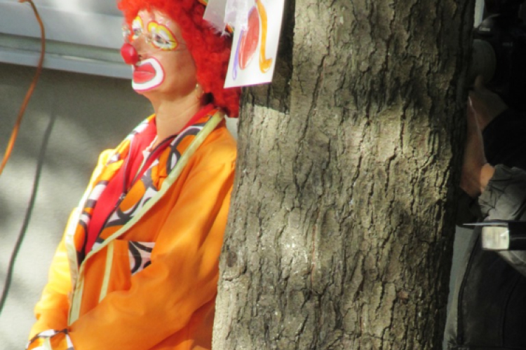 Ovifoci- pályaavató