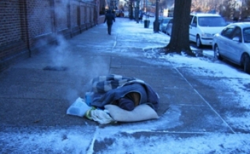 Bolti szarka és a majdnem megfagyott