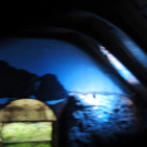 Hónap diákjai az állatkertben