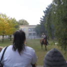 Városalapítók családbarát napja