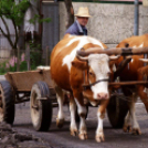 Képeket vegyenek az Arany iskoláért!