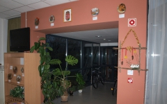 A Hildben karácsonyra készülődnek