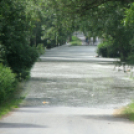 Tetőzik az ár Dunaújváros és környékén - Keresztury János felvételei