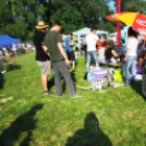 Parázs-varázs képekben