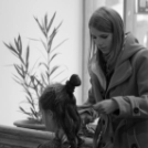 Dunaújváros iskolái