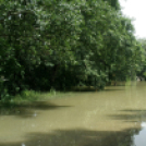 Tetőzik az ár Dunaújváros és környékén - Keresztury János felvételei