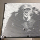 Szalay Péter „Embert keresek” kiállítása