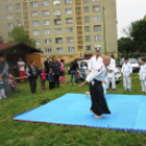 Római városrész napj