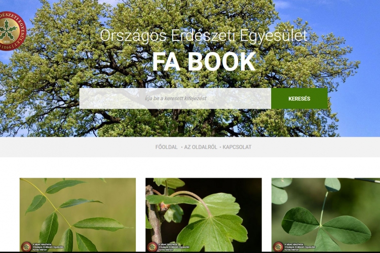 Fahatározó applikációt fejlesztett az Országos Erdészeti Egyesület