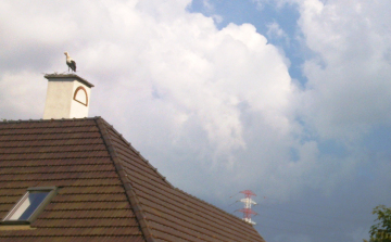 Szétköltöztek gólyáék