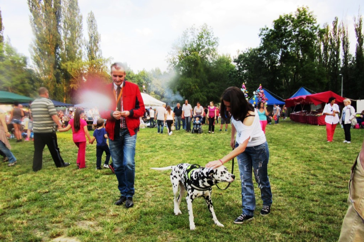 Parázs-varázs képekben