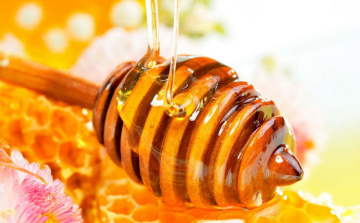 Kevés és drága lesz a méz