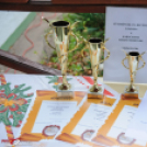 Újtelepen járt a Mikulás