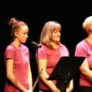 Vastaps köszöntötte azokat, akik a Szociális Munka Napján műsort adtak