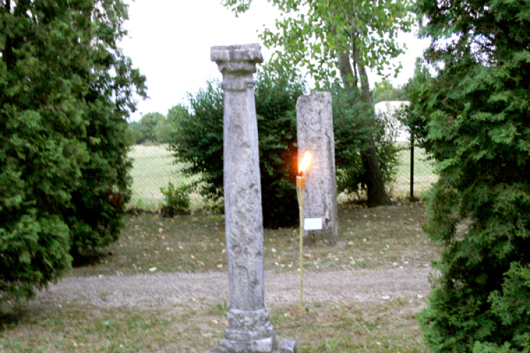 Múzeumok éjszakája 