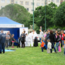 Római városrész napj