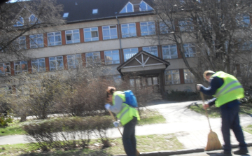 Új fák, több virág