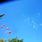 Ovifoci- pályaavató