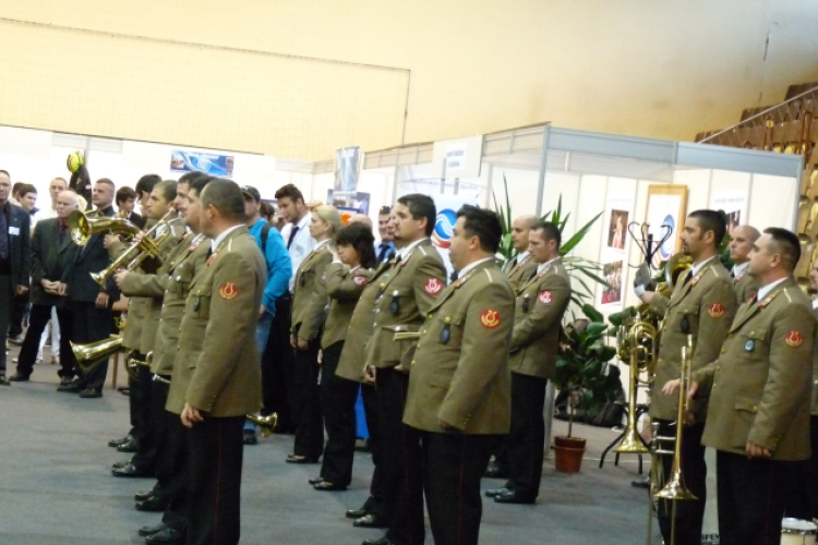 Pályaválasztás 2013