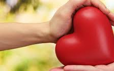 Fontos Önnek az egészsége?