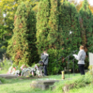 Emlékezés 56 hőseire