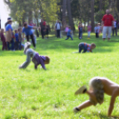 1 mosoly = 1 ajándék