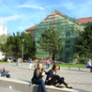 Tehetség nap - képekben