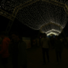 EFOTT (Szombat) Somogyi Kata