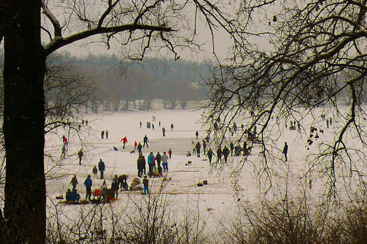 Szalki-szigeti korcsolyapálya