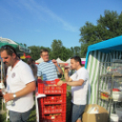 Parázs-varázs 2016