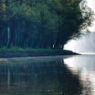 Képeket vegyenek az Arany iskoláért!