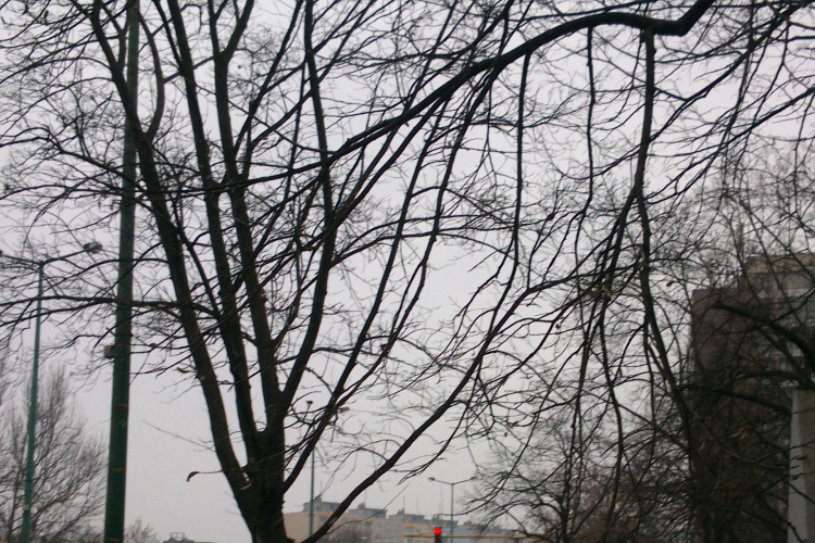 Rendőreink megelőző \\\\\\\