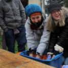 Pentelei Kolbászfesztivál