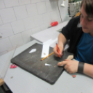 Szakmák éjszakája