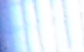 Jól szerepeltek a birkózópalánták