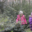 Nyuszis kézműves tábor az MMK-ban