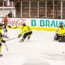 Győzelem a Miskolc ellen