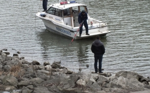 Pálinka miatt öltek a Batsányi utcában