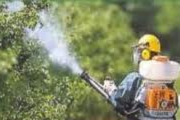 Lopják a növényvédő szereket