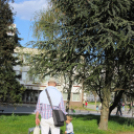 Tehetség nap - képekben