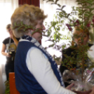 „Virágos Dunaújvárosért 2014” verseny